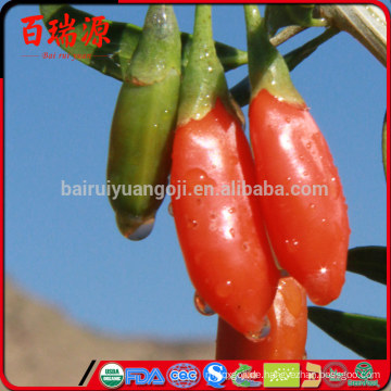 Goji-Beere Import goji Beeren ningxia goji des biologischen Lebensmittels appetitanregend